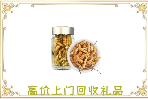磁市周边回收虫草